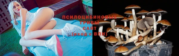 ПСИЛОЦИБИНОВЫЕ ГРИБЫ Балахна