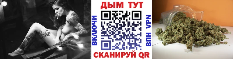 дарнет шоп  Игарка  Шишки марихуана семена 